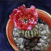 Potted Cactus No. 3 (Lobivia Arachnacantha v Torrecillasensis), Copyright 2009, Paula Wenzl-Bellacera -- Click to Expand...