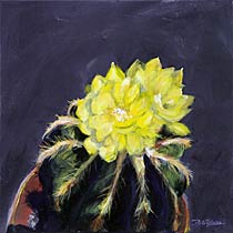 Potted Cactus No. 5 (Notocactus Magnificus), Copyright 2009, Paula Wenzl-Bellacera -- Click to Expand...