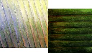 Fields of Light Series #7 (Diptych), Copyright 2008, Joseph Bellacera -- Click to Expand...