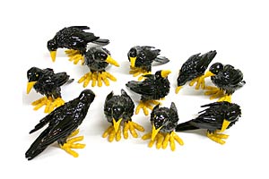 Assorted Crows, Copyright 2002, Eric Dahlin -- Click to Expand...