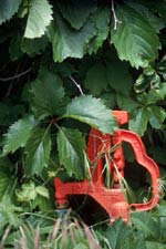 Water Pump (Nevada), Copyright 1988, The Estate of Arnold J. Dubnick -- Click to Expand...