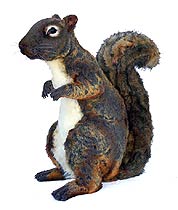 Giant Squirrel of Sumatra, Copyright 2008, Gerald Heffernon -- Click to Expand...