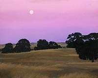 Twilight Dreams - Scott Road 1, Copyright 2003, Christopher Newhard -- Click to Expand...