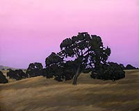 Twilight Dreams - Scott Road 3, Copyright 2003, Christopher Newhard -- Click to Expand...