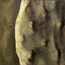 Cactus Skin, Copyright 2008, Paula Wenzl-Bellacera -- Click to Expand...