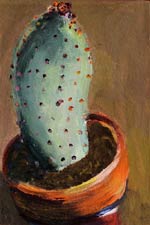 Potted Paddle, Copyright 2008, Paula Wenzl-Bellacera -- Click to Expand...