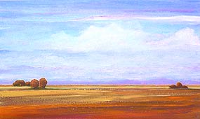 Orange Field #1, Copyright 2004, Laurie Winthers -- Click to Expand...