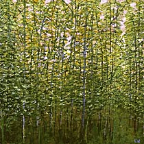 Giverny, France #1, Copyright 2008, Laurie Winthers -- Click to Expand...