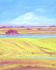 Mustard Field, Santa Barbara 	County, Copyright 2008, Laurie Winthers -- Click to Expand...